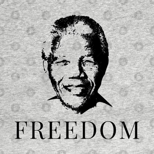 Nelson Mandela Freedom by 9 Turtles Project